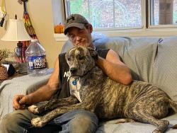 Lost Male Dog last seen Beaver creek rd 75 Hwy, Remlap, AL 35133