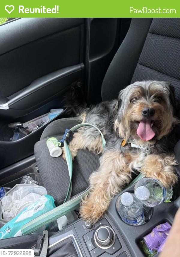 Reunited Unknown Dog last seen Kernersville post office by Kerner Street , Kernersville, NC 27284