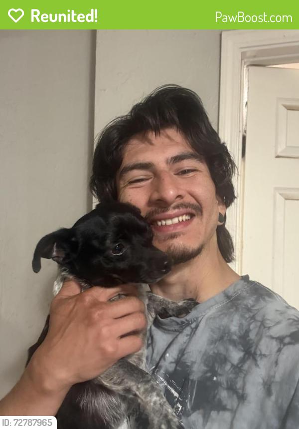 Reunited Male Dog last seen Sunnylane and lunow, Oklahoma City, OK 73135