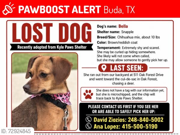 Lost Female Dog last seen Oak Forest Dr, Buda, TX 78610