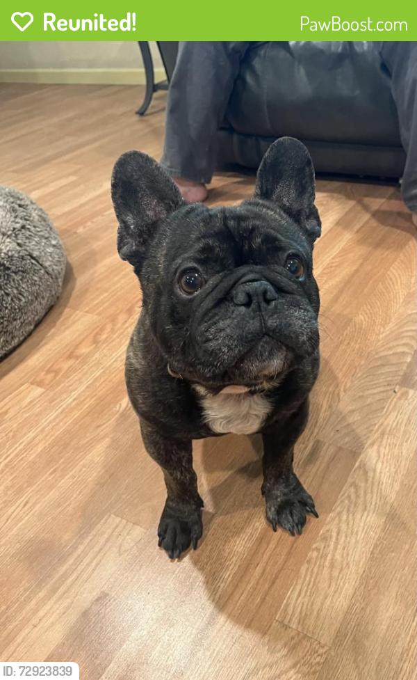 Reunited Male Dog last seen Wrangler Circle between West Lane Frontage Road and Tam O’Shanter Drive, Stockton, CA 95210