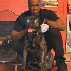 Lost Male Dog last seen 91st and Mackinaw , Chicago, IL 60617