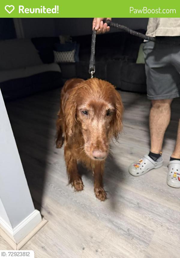 Reunited Unknown Dog last seen Battleridge Pl , Gaithersburg, MD 20886