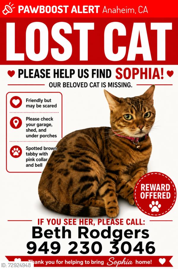 Lost Female Cat last seen Serrano/E Sunset, Anaheim, CA 92808