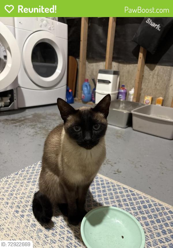 Reunited Male Cat last seen Thirdline and Heritage way. Off the thirdline exist in oakville. By St. Bernadette elementary school, Oakville, ON L6M 3J8