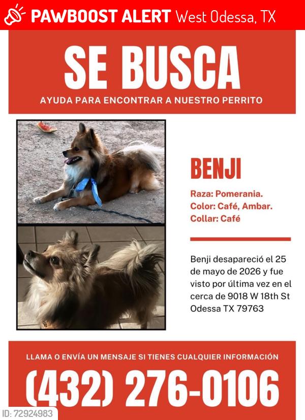 Lost Male Dog last seen Tripp st and 18th, West Odessa, TX 79763