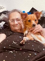Reunited Female Dog last seen Rosemarie and Pacific Ave, Stockton, CA 95207