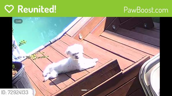 Reunited Male Dog last seen Gratesoutwest, Grand Prairie, TX 75052