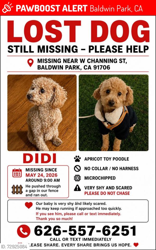 Lost Male Dog last seen W Channing st , Baldwin Park, CA 91706