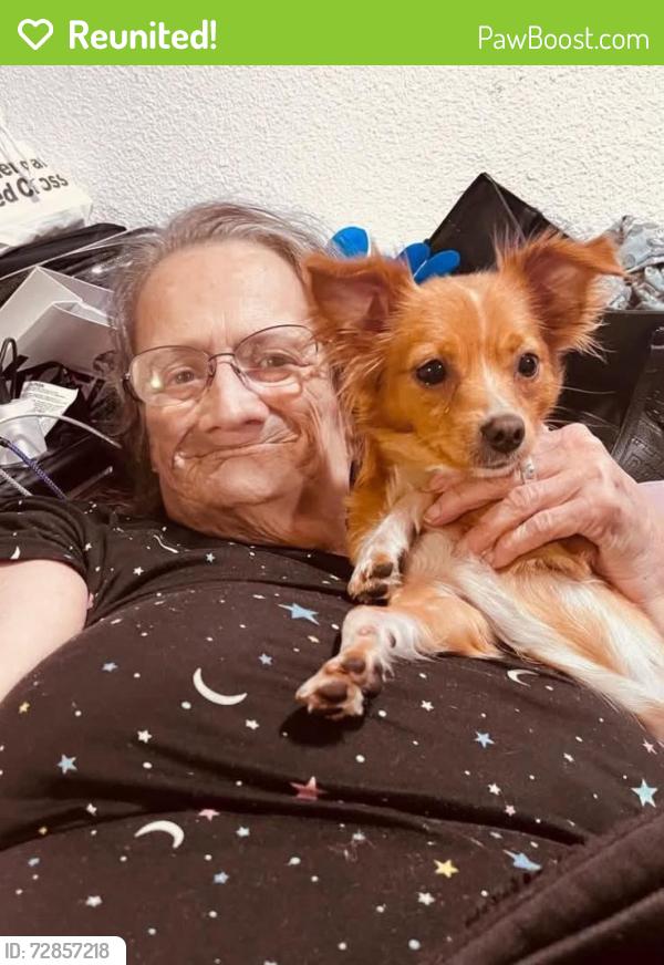 Reunited Female Dog last seen Rosemarie and Pacific Ave, Stockton, CA 95207