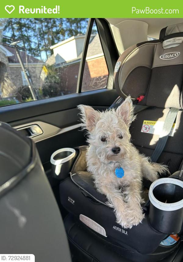 Reunited Male Dog last seen Cove Pointe Dr Florence, SC 29501, Florence, SC 29501