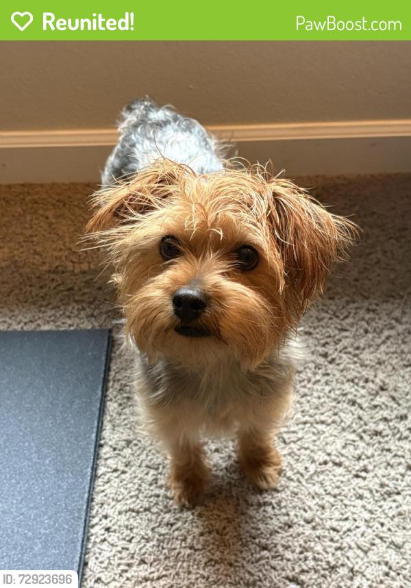 Reunited Male Dog last seen McKenzie River Hwy, Vida, OR 97488
