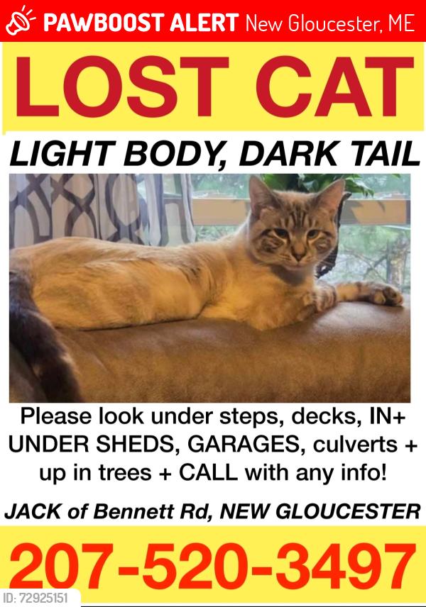 Lost Male Cat last seen Harley drive , New Gloucester, ME 04260