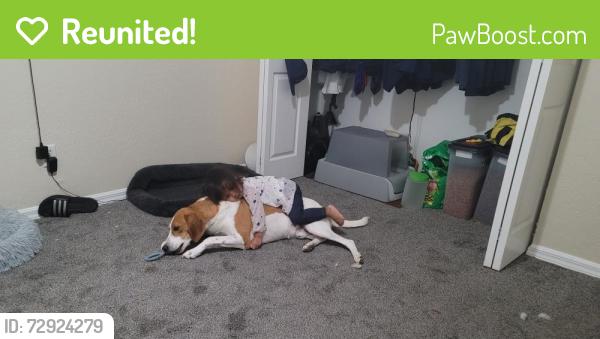 Reunited Male Dog last seen Arbor trace , Lynn Haven, FL 32444