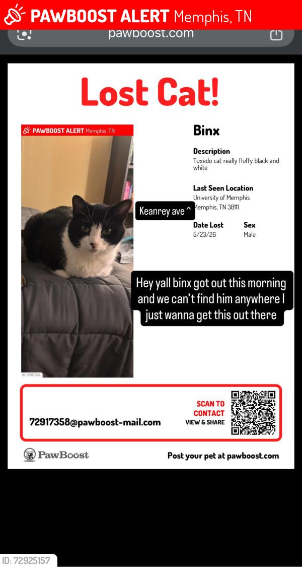 Lost Male Cat last seen St Anne’s school , Memphis, TN 38111