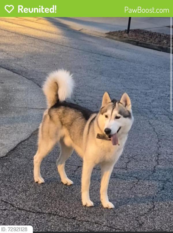 Reunited Male Dog last seen He js ran away and never returned, haven’t found him since me, Winston-Salem, NC 27107