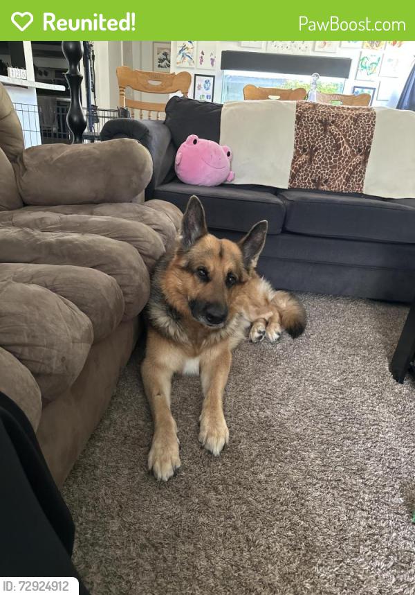 Reunited Male Dog last seen 11 Mile Rd , Calhoun County, MI 49033