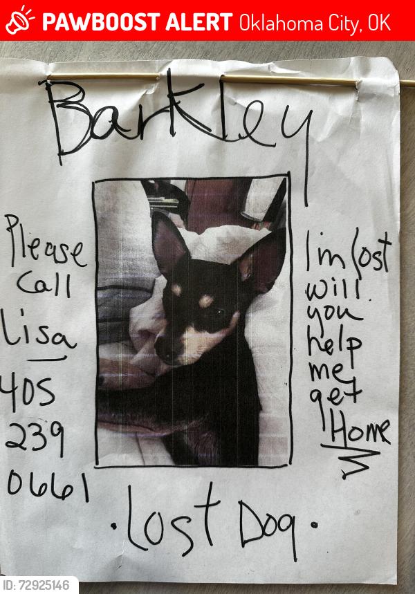 Lost Male Dog last seen 59th & Villa, OKC (Belle Isle), Oklahoma City, OK 73112