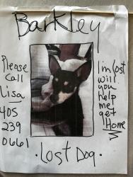Lost Male Dog last seen 59th & Villa, OKC (Belle Isle), Oklahoma City, OK 73112