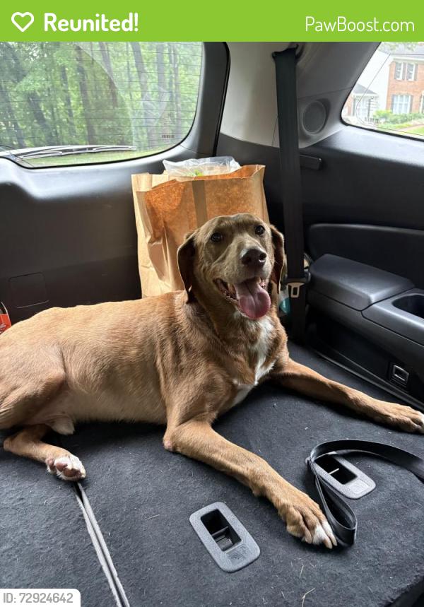 Reunited Male Dog last seen Cranbrook Lane and Miller Heights Road, Oakton, VA 22124