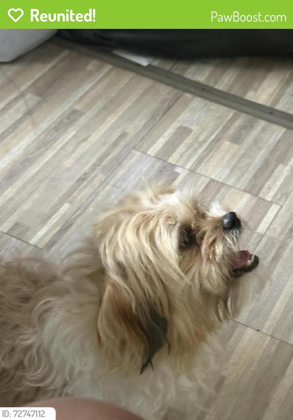 Reunited Male Dog last seen Near  between Wyoming and Meyers, Detroit, MI 48238