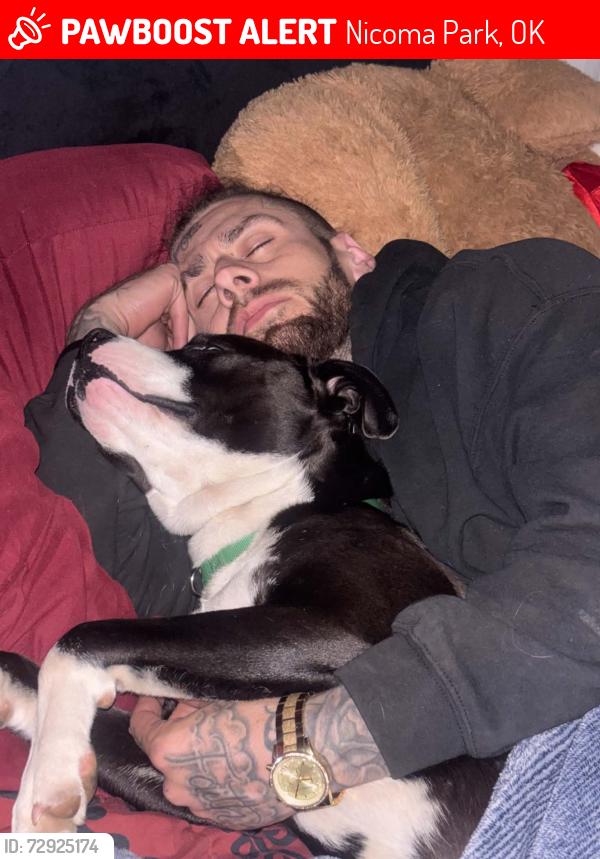 Lost Male Dog last seen 11119–11139 NE 23rd St Choctaw, OK  73020 United States, Nicoma Park, OK 73130