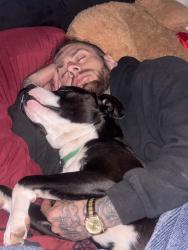 Lost Male Dog last seen 11119–11139 NE 23rd St Choctaw, OK  73020 United States, Nicoma Park, OK 73130
