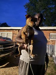 Reunited Male Dog last seen Walker st , Columbus, GA 31903