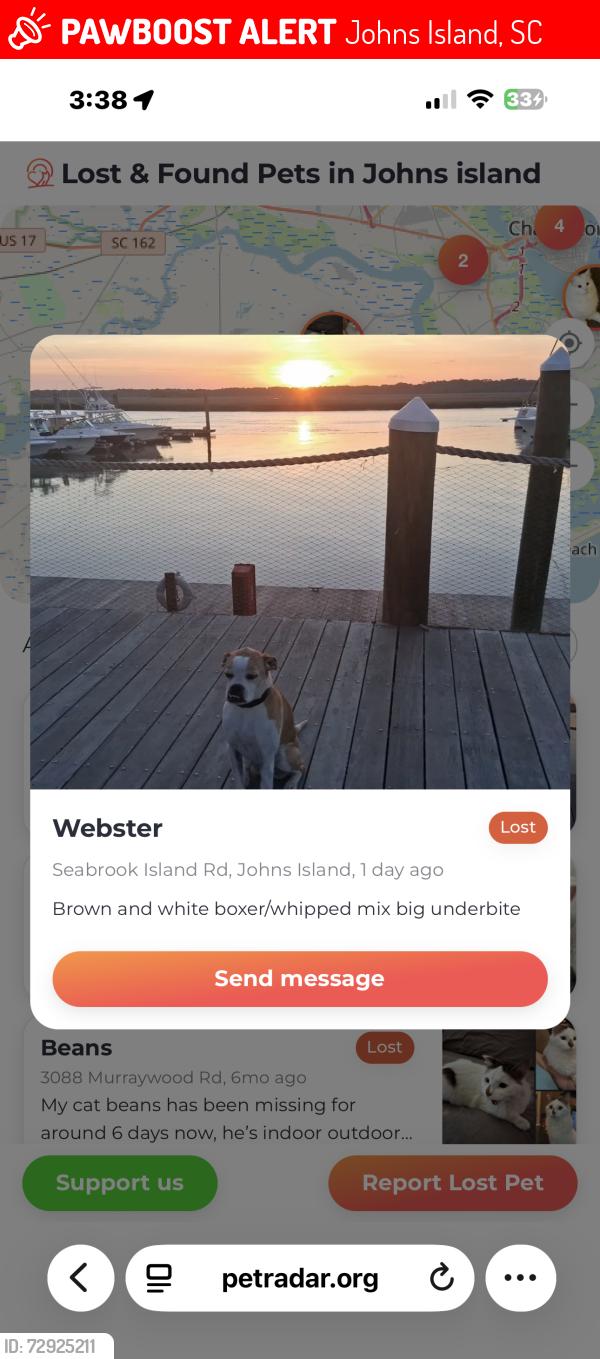 Lost Male Dog last seen Bohicket Marina, Johns Island, SC 29455