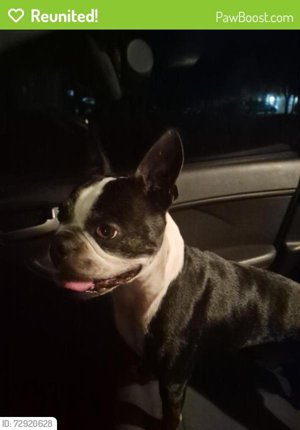 Reunited Male Dog last seen Zanbrana and salerno, Palm Bay, FL 32909