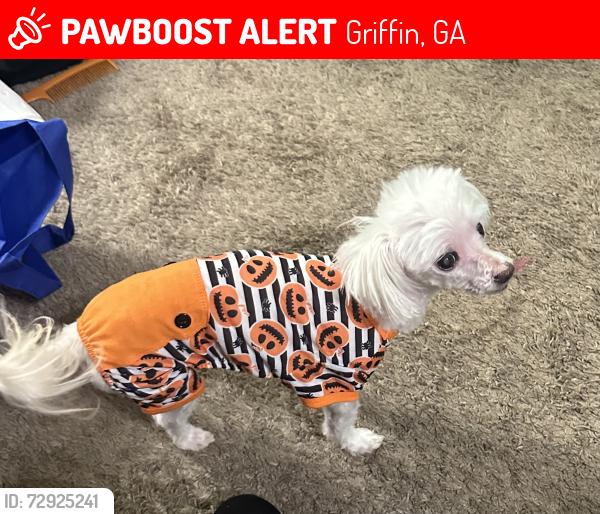 Lost Male Dog last seen Jordan hill elementary , Griffin, GA 30223