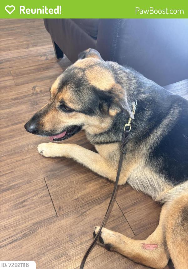 Reunited Male Dog last seen Near acre dog park, Troutdale, OR 97060