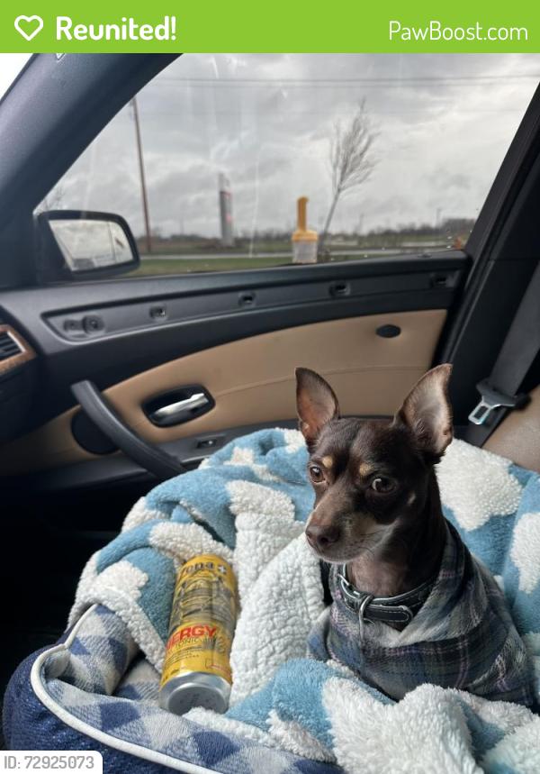 Reunited Male Dog last seen Near park place Hebron Indiana , Hebron, IN 46341