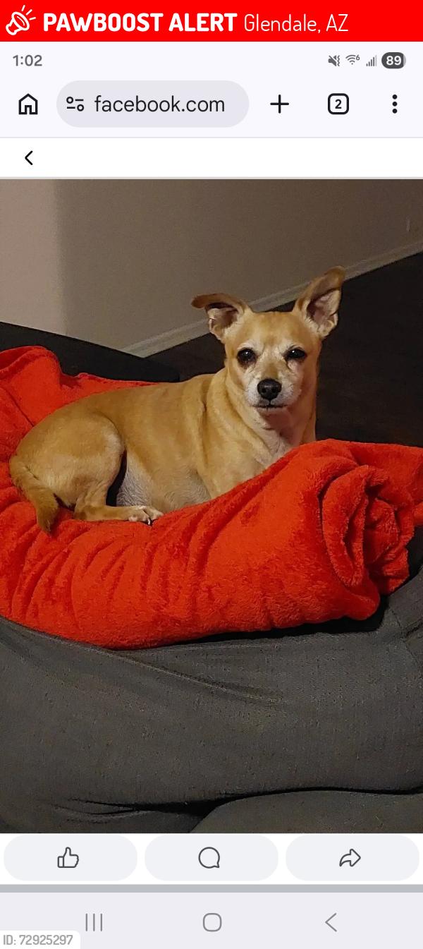Lost Male Dog last seen 64th avenue beardsley, Glendale, AZ 85308