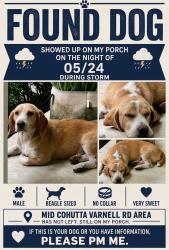 Reunited Male Dog last seen Near Coker Farm subdivision , Cohutta, GA 30710