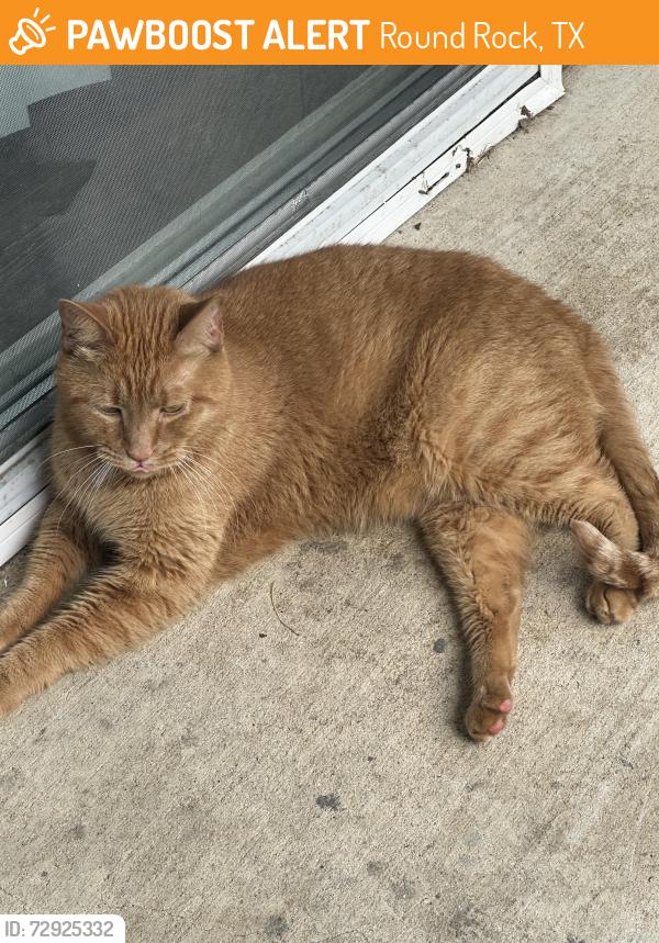 Found/Stray Unknown Cat last seen Sunset and East Old Settlers, Round Rock, TX 78681