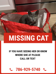 Lost Female Cat last seen Near barren Rd , Newtown Square, PA 19073