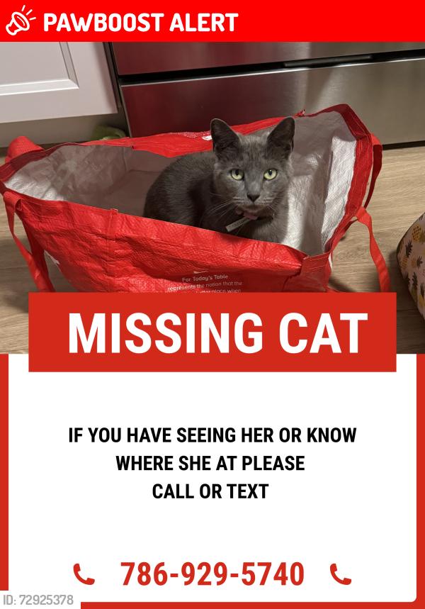 Lost Female Cat last seen Near barren Rd , Newtown Square, PA 19073
