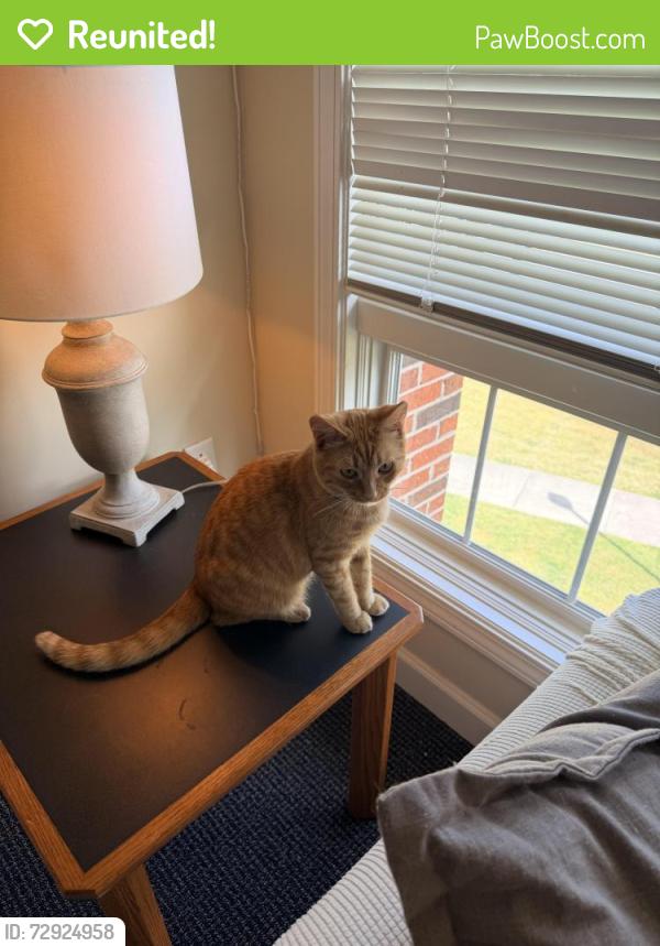 Reunited Male Cat last seen Heron Bay in the Reserves, Parkland, FL 33076