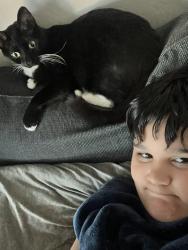 Lost Unknown Cat last seen Near E Broadway Road Mesa AZ USA, Mesa, AZ 85204
