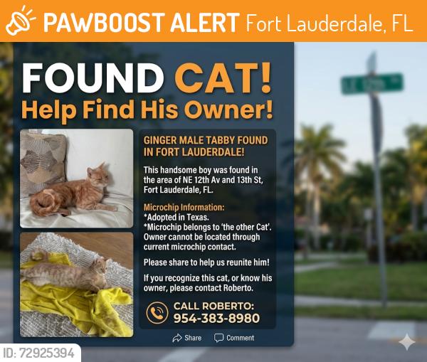 Found/Stray Male Cat last seen Ne12th ave, Fort Lauderdale, Fort Lauderdale, FL 33304