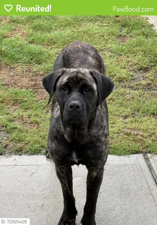 Reunited Female Dog last seen Willow Springs, NC 27520, USA, Willow Springs, NC 27520