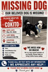 Reunited Male Dog last seen Gages lake rd, Grayslake, IL 60030