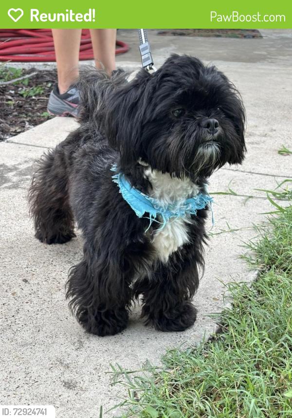 Reunited Male Dog last seen Thornwood and Conway, Mission, TX 78574