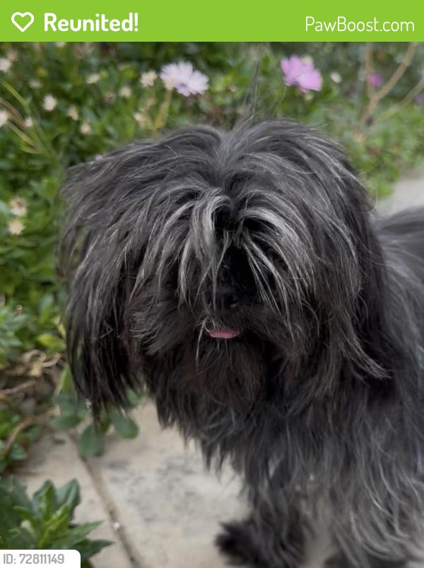 Reunited Female Dog last seen Almeria Middle School, Fontana, CA 92336