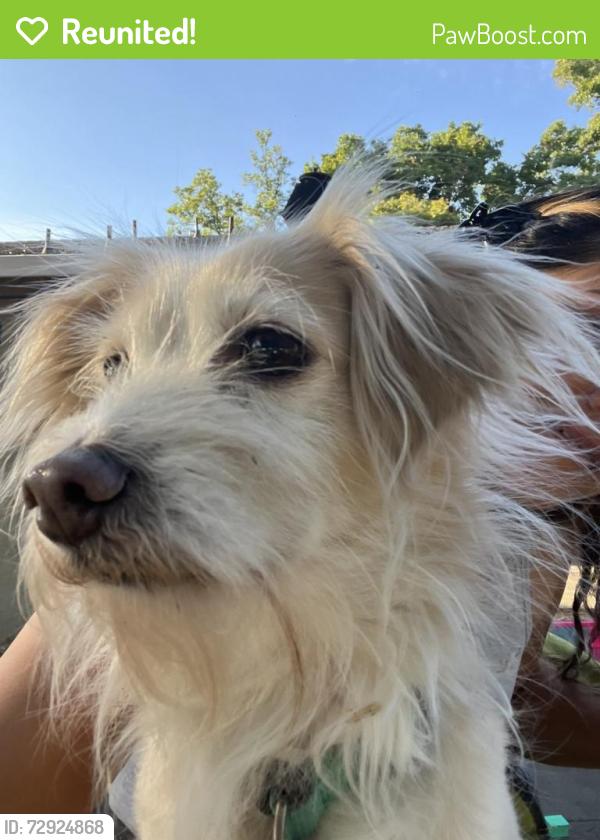 Reunited Male Dog last seen Rossmoor Way, Modesto, CA 95355, USA, Modesto, CA 95355