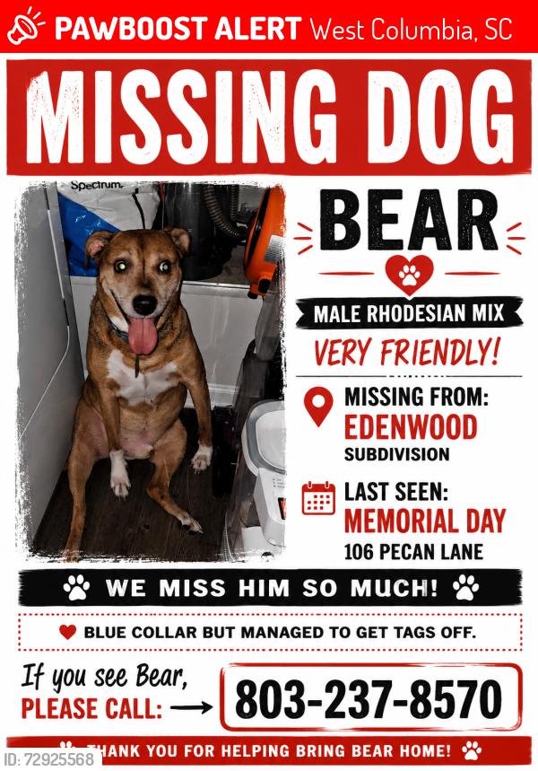 Lost Male Dog last seen West columbia sc, West Columbia, SC 29033