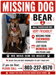 Lost Male Dog last seen West columbia sc, West Columbia, SC 29033