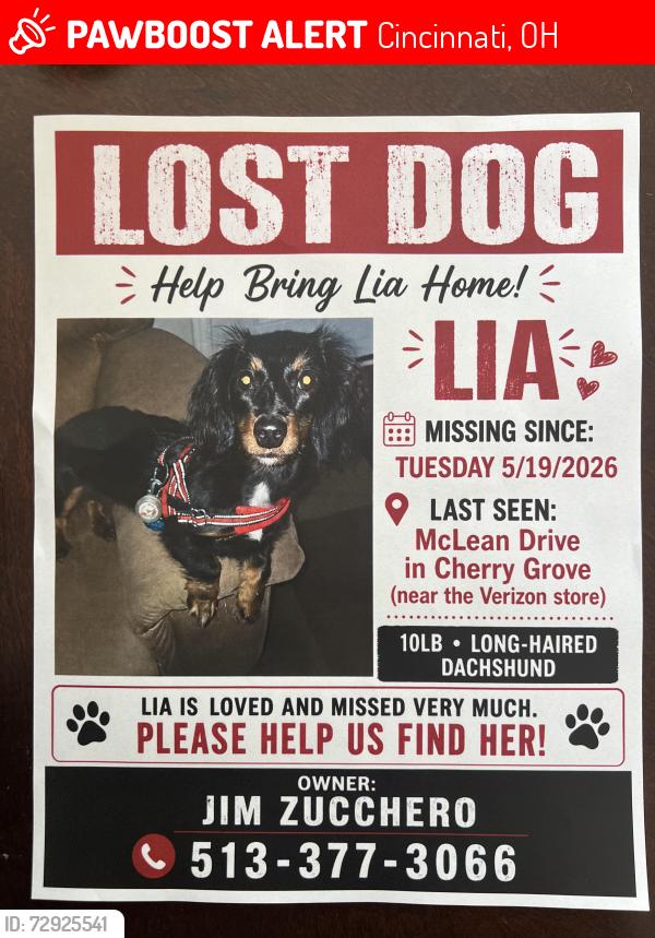 Lost Female Dog last seen Beechmont avenue , Cincinnati, OH 45255