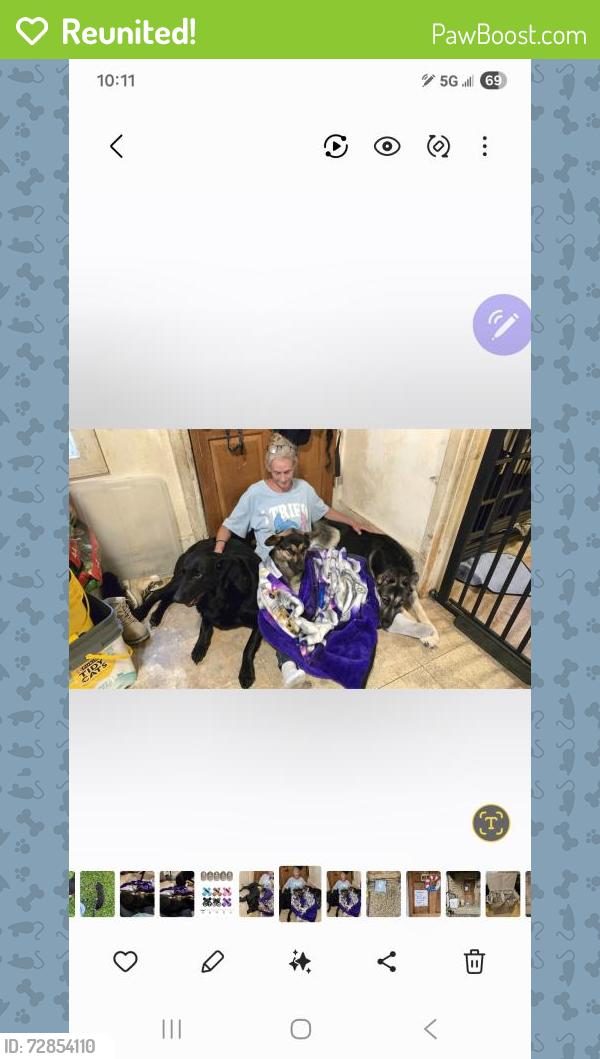 Reunited Female Dog last seen Rhi magnesita, York, PA 17408